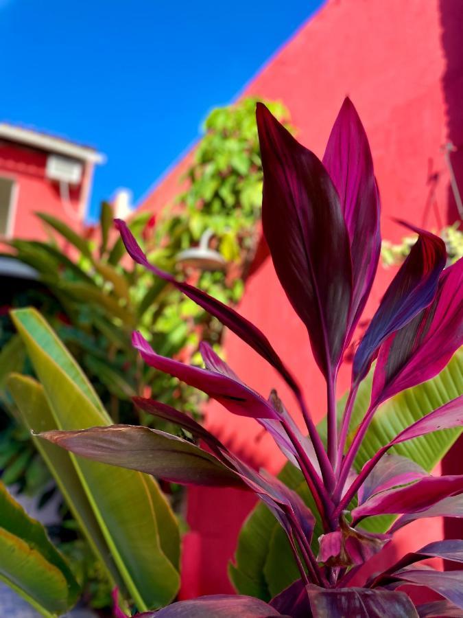 Pousada Kawaii Porto Seguro Exteriér fotografie
